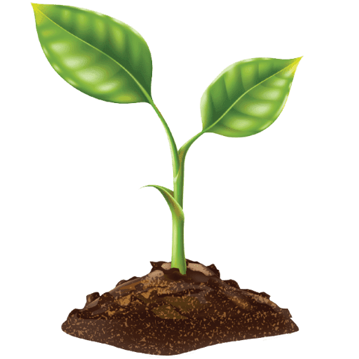 STEM